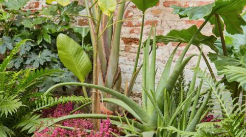 Foto 4 de Loft en venda a Carrer Dels Pellaires, Diagonal Mar i el Front Marítim del Poblenou, Barcelona