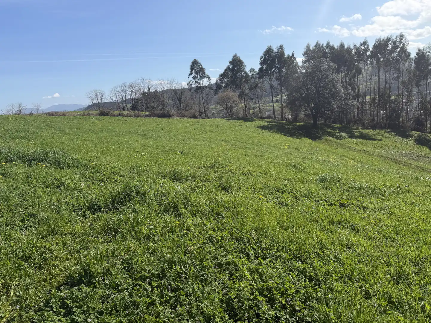 Casa o xalet en venda en Hazas de Cesto
