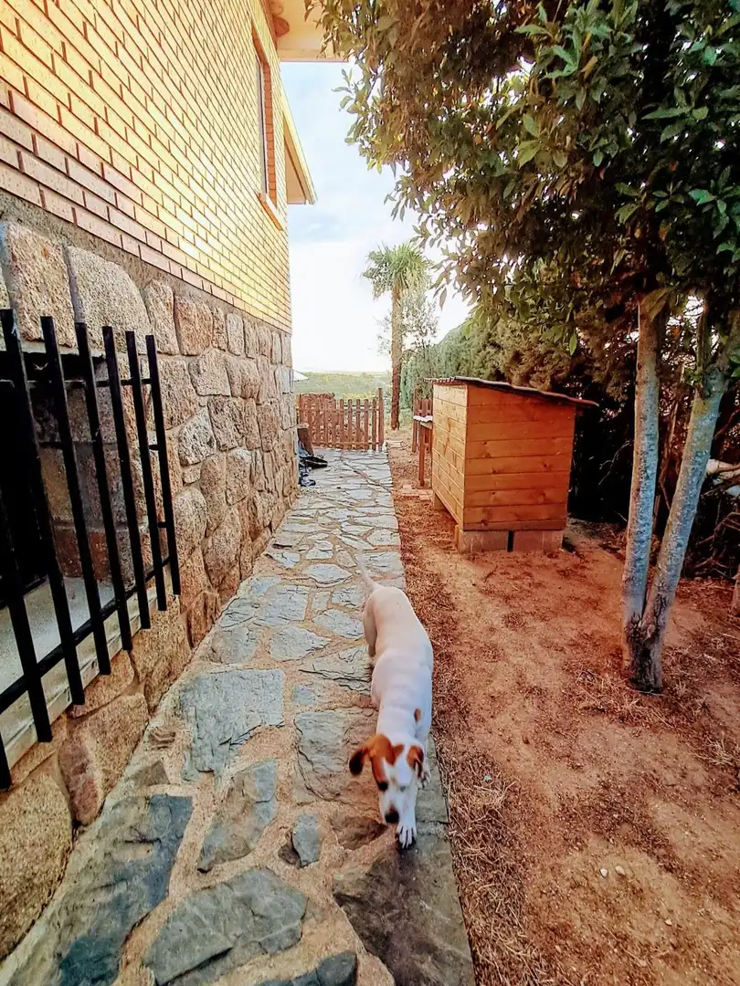 Jardí de Casa o xalet en venda en Matarrubia