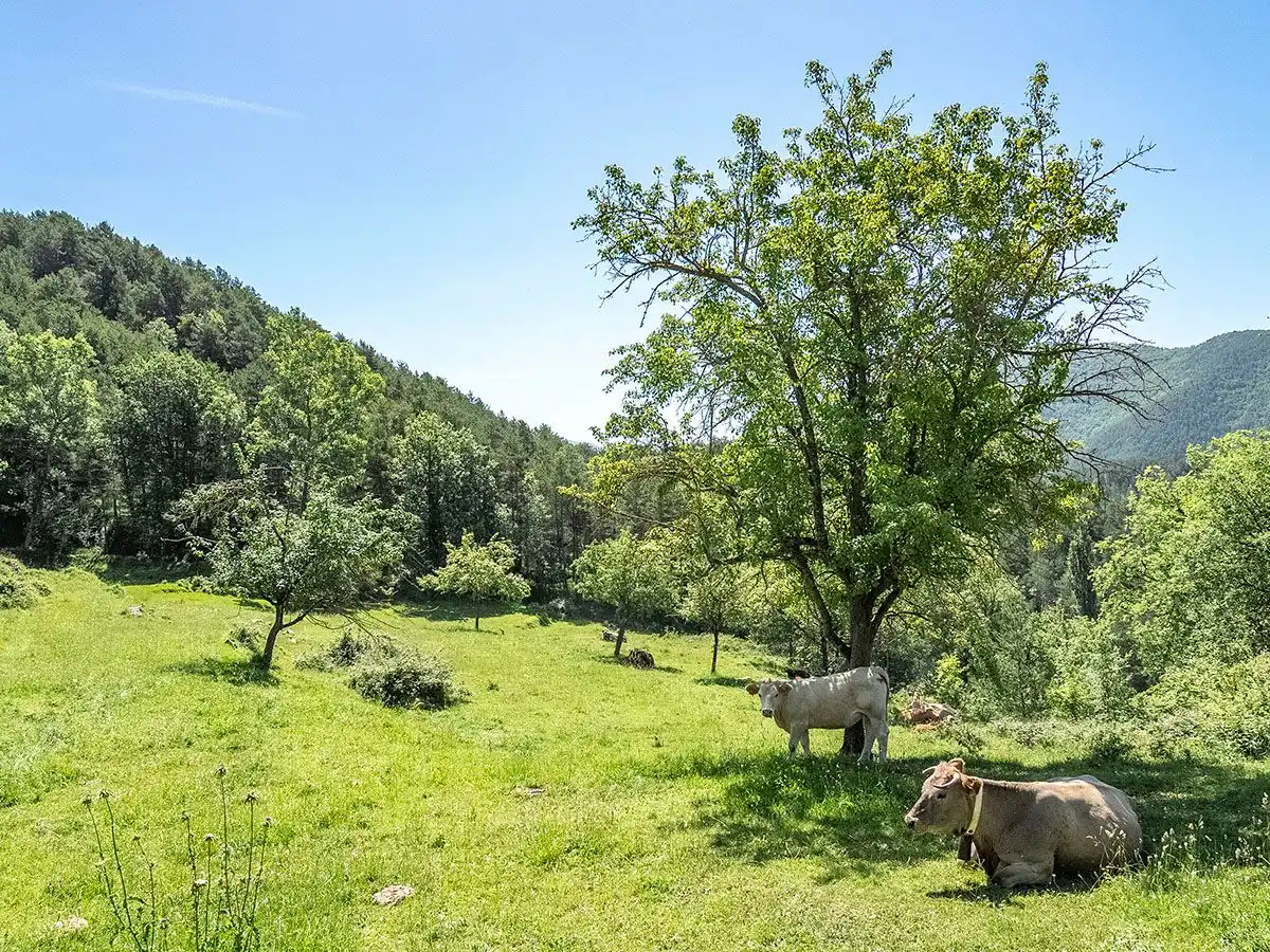 Landhaus zum Verkauf in Ripoll, imagen 39