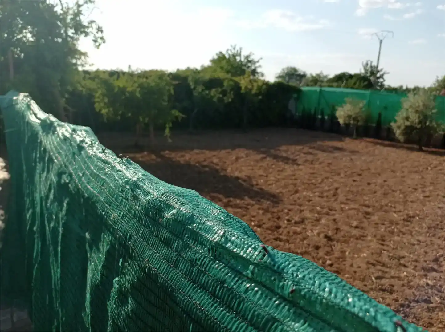 Casa o xalet en venda en Argamasilla de Alba amb Aire condicionat i Piscina