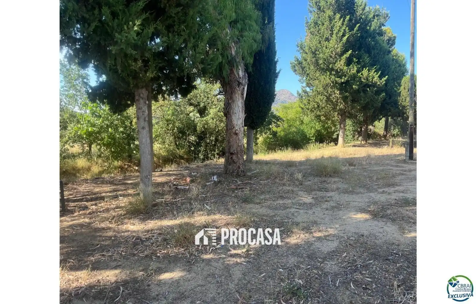 Villa zum Verkauf in Calle Argentera, imagen 20