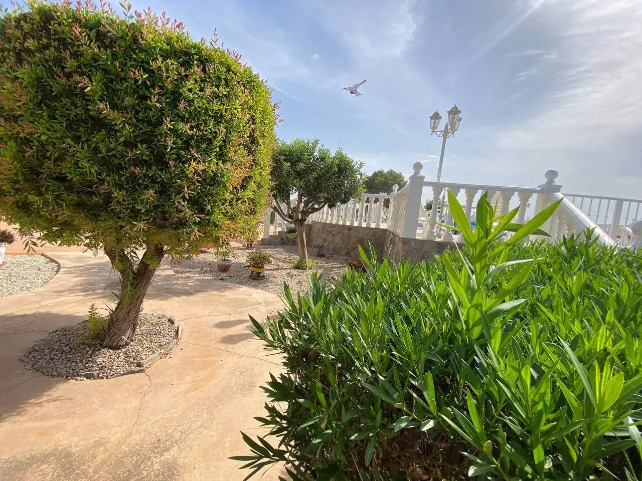 Villa con piscina in vendita a Catral, imagen 16