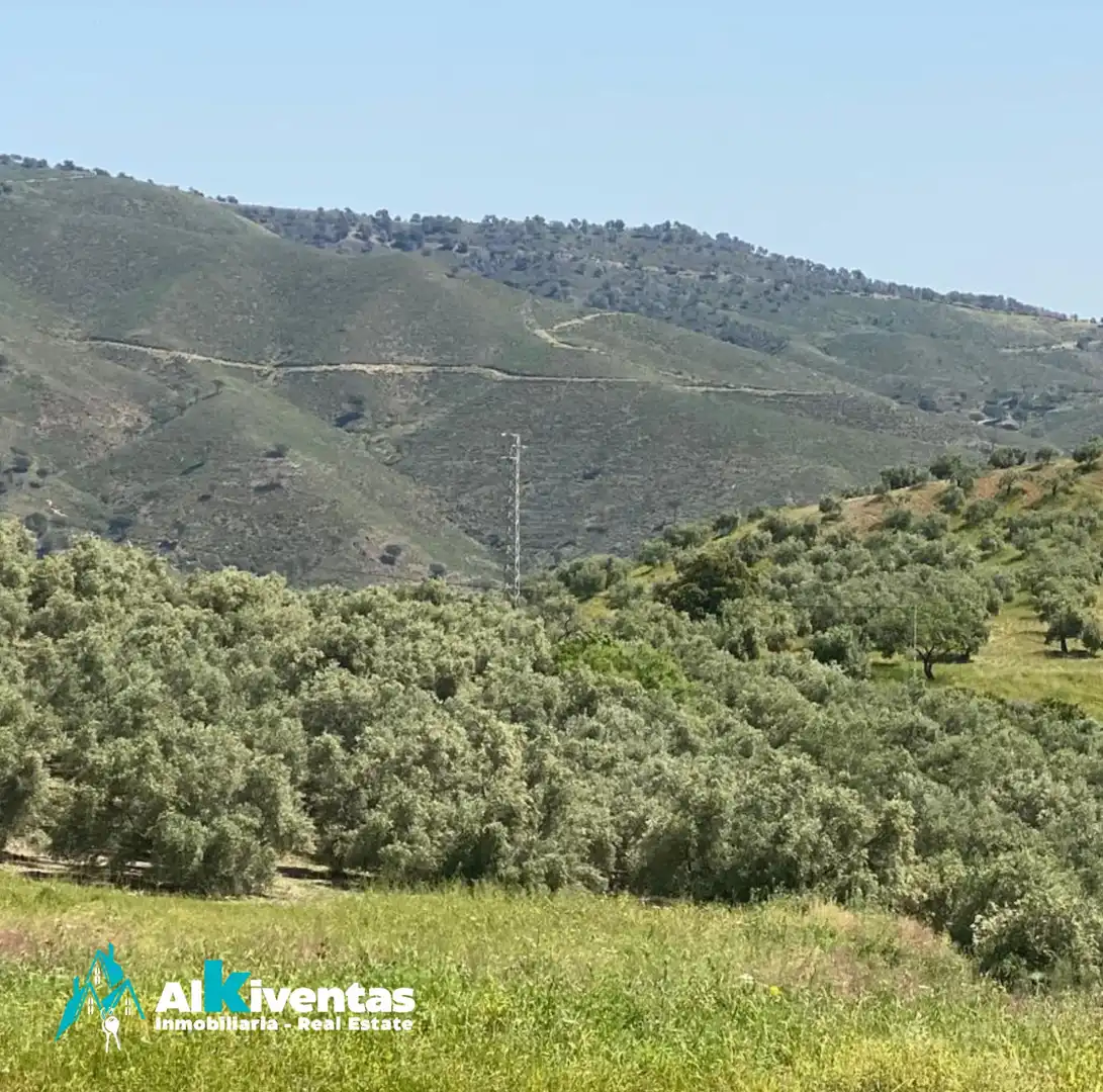 Terreni e lotti in vendita a Casarabonela, imagen 7