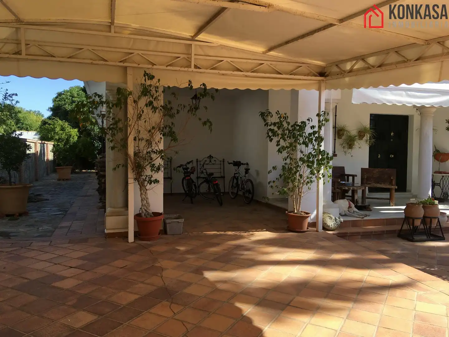 Chalet con piscina en venta en Arcos de la Frontera, imagen 22