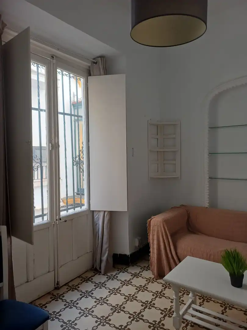 Apartments for rent in Calle Cristóbal Morales, Arenal - Museo