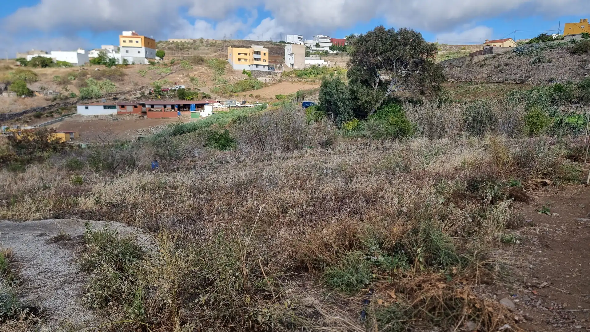 Terrenos y solares en venta en Diseminado Lomo las Azucenas 25, imagen 14