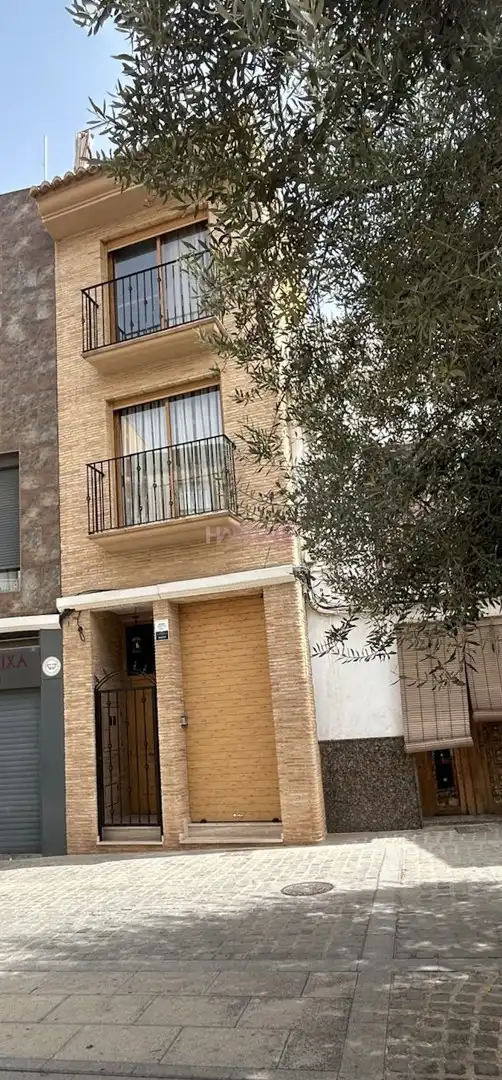 Exterior view of Detached homes for sale in Torrent  with Terrace