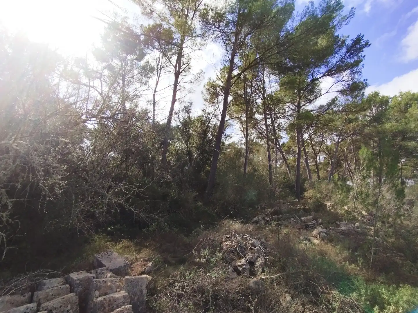 Terreno rustico in vendita a Algaida, imagen 5