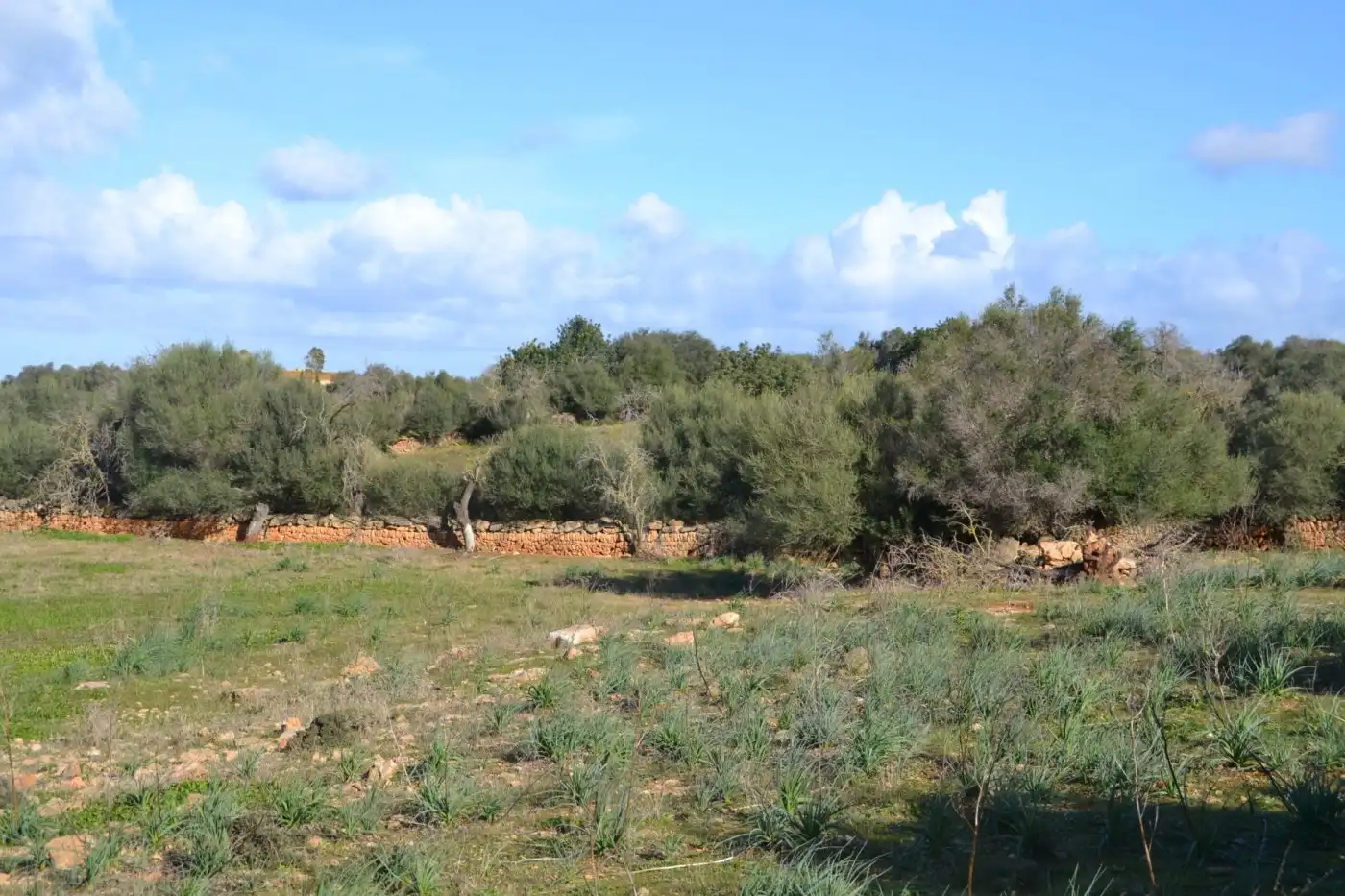 Maison rustique à vendre à Manacor Centre, imagen 5