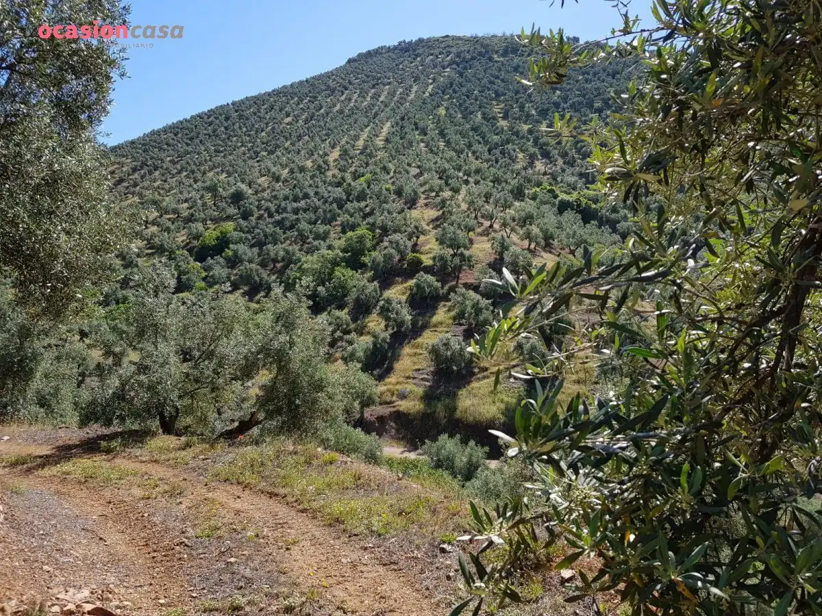 Finca rústica en venta en Villanueva de Córdoba con Jardín privado, Trastero y Amueblado