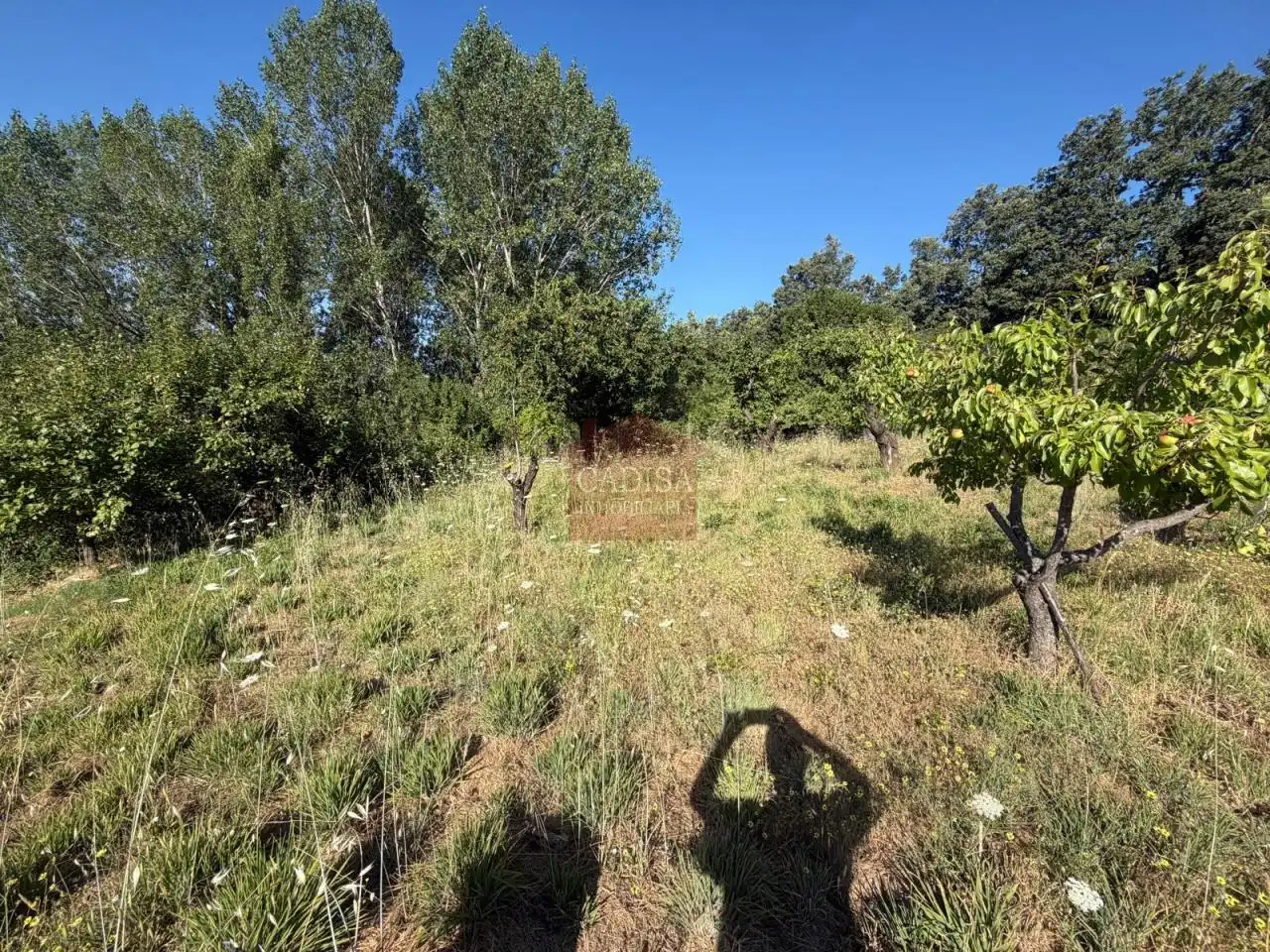 Grundstücke zum Verkauf in Garcibuey, Salamanca