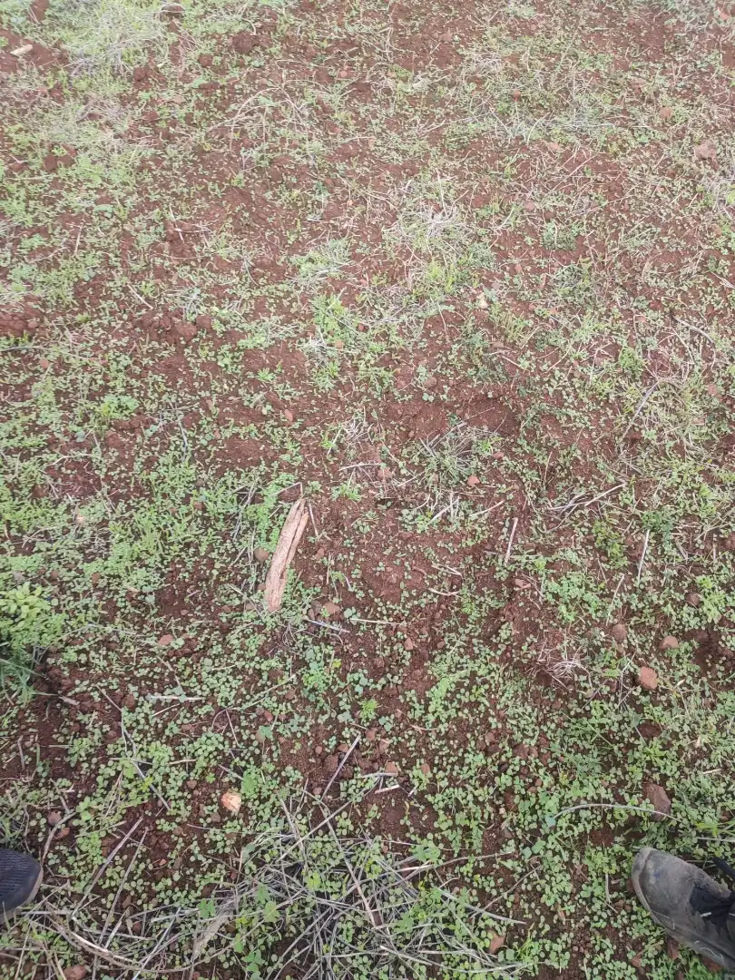 Terreny en venda en San Cristóbal de la Laguna
