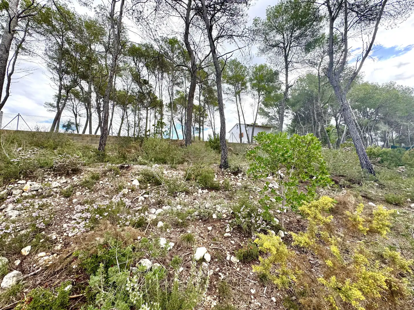 Grundstücke und Bauplätze zum Verkauf in Olivella, imagen 13