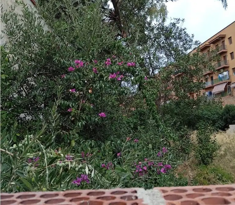 Wohnbaugrundstück zum Verkauf in Carrer Torras i Bages 17, imagen 18