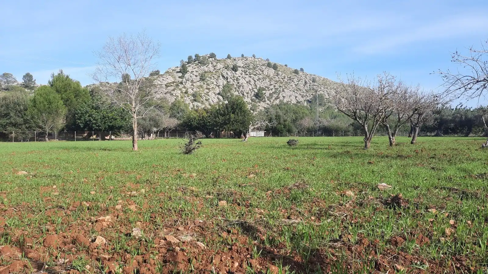Landhaus zum Verkauf in Pollença Poble, imagen 38