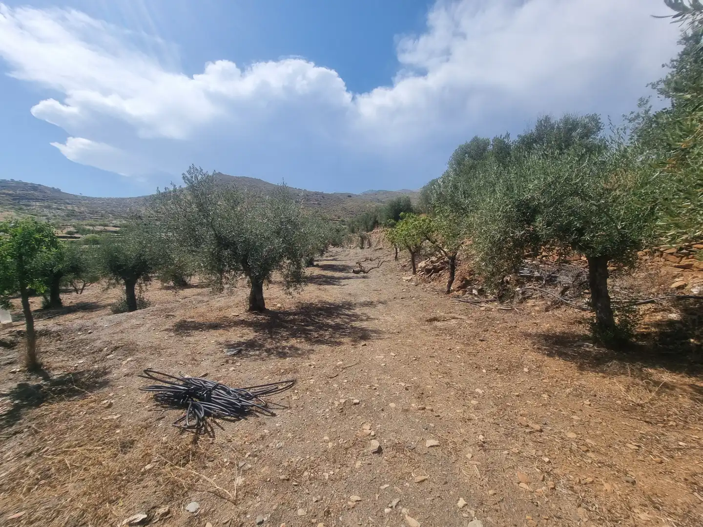 Terreno en venta en Senés