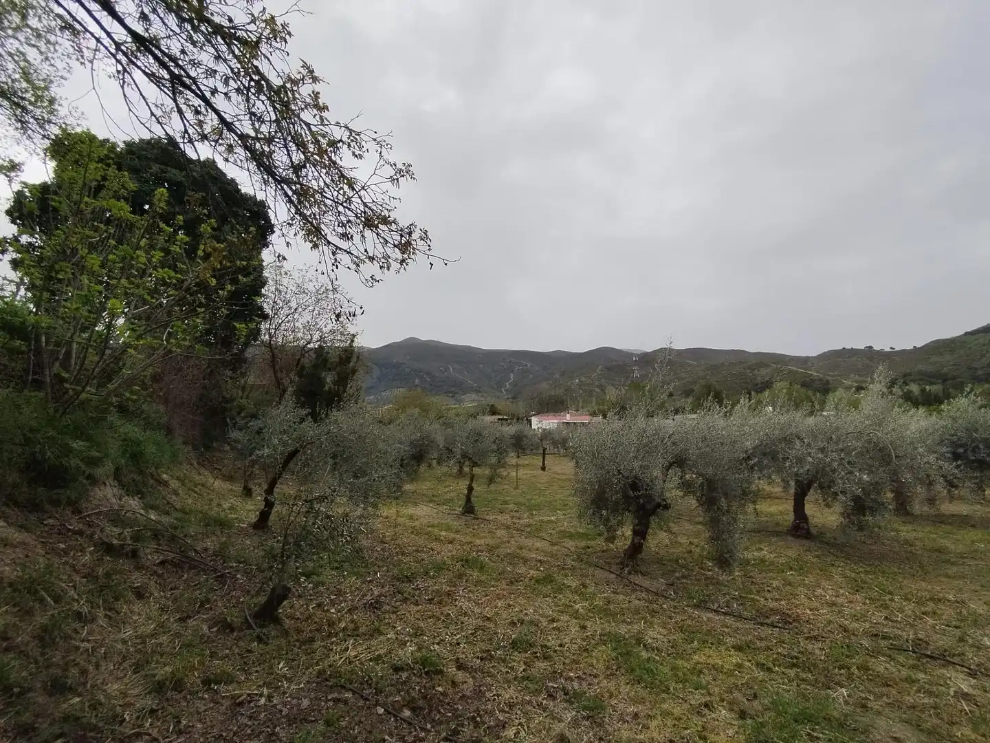 Terreni e lotti in vendita a Carretera Cenes de la Vega, imagen 17