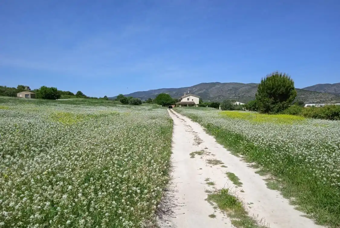 Terreno residenziale in vendita a Agullent, imagen 4