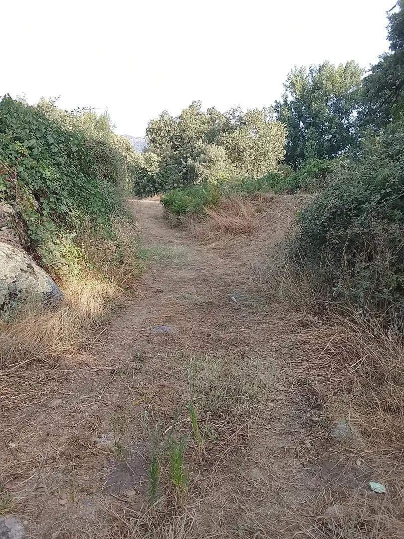 Terreni e lotti in vendita a Villanueva de la Vera, imagen 22
