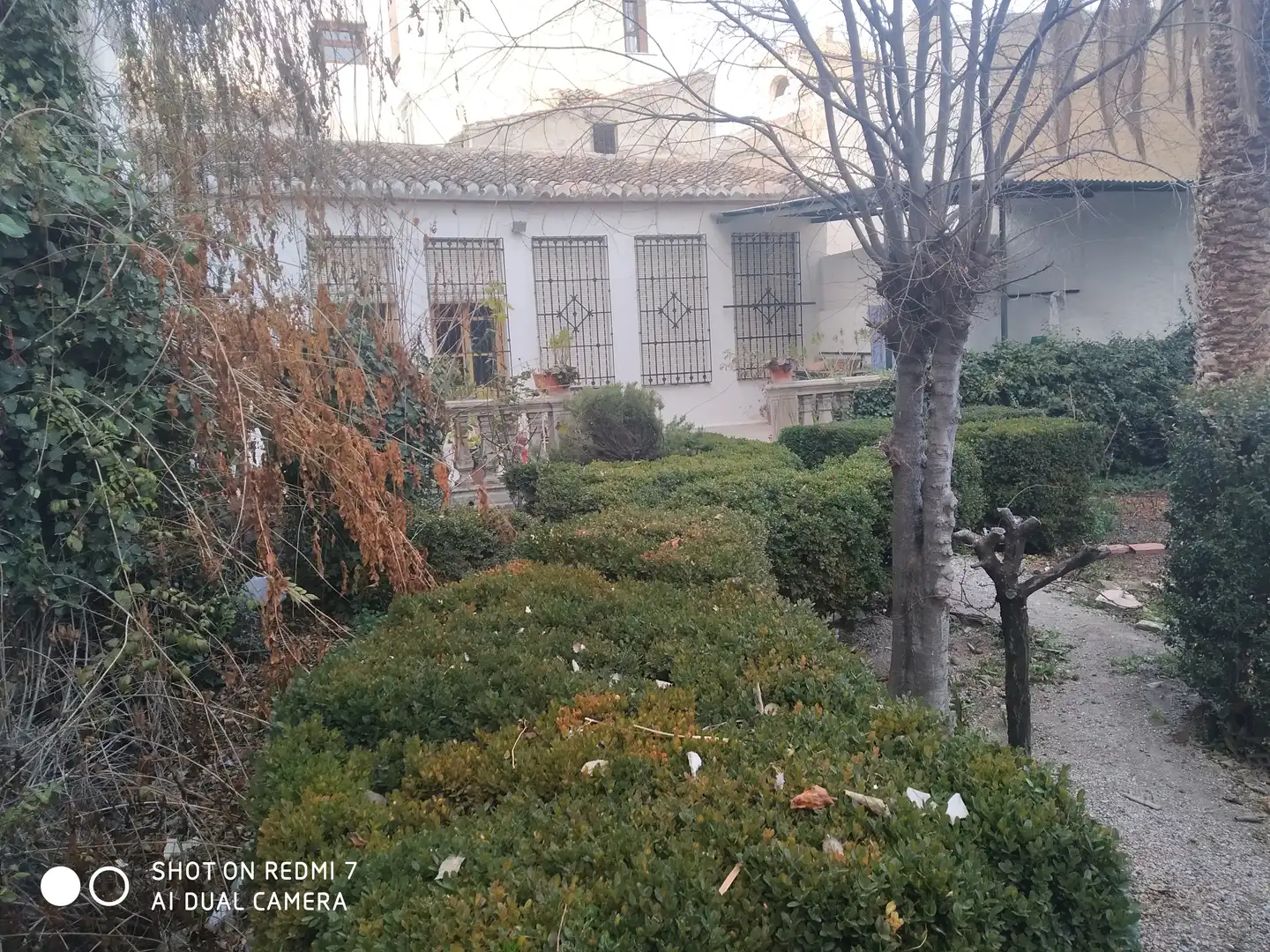 Chalet en venta en Calle Agua