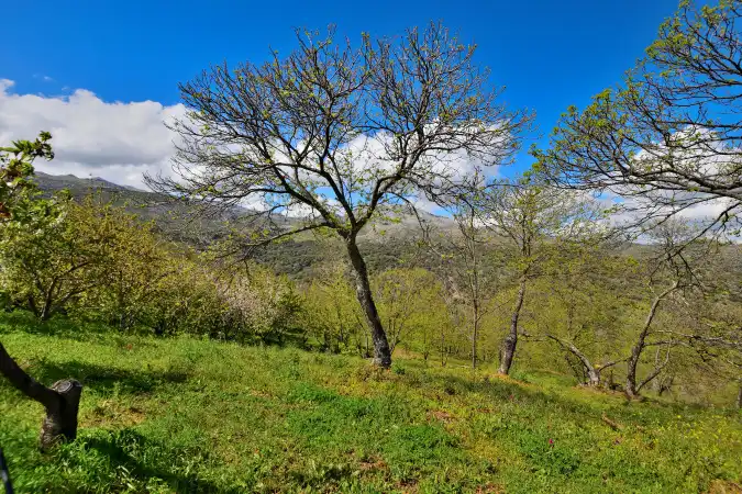 Country house zum Verkauf in Ronda mit Privatgarten