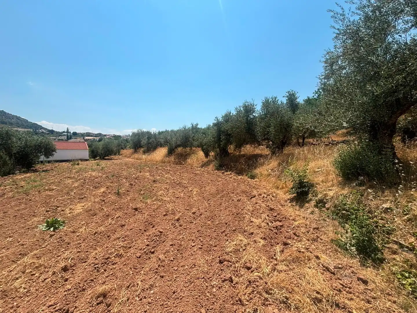 Terreno rustico in vendita a Polígono 4 Paraje 72 LAS ESPEQUELAS, imagen 12