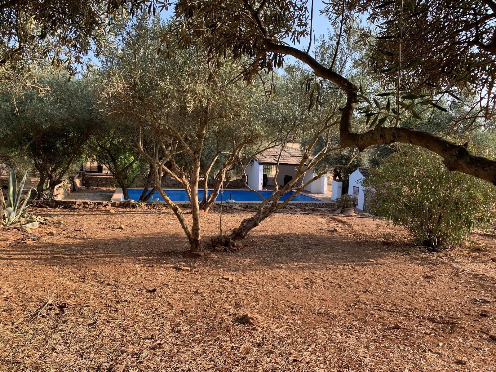 Finca rústica en venda en Valverde de Leganés