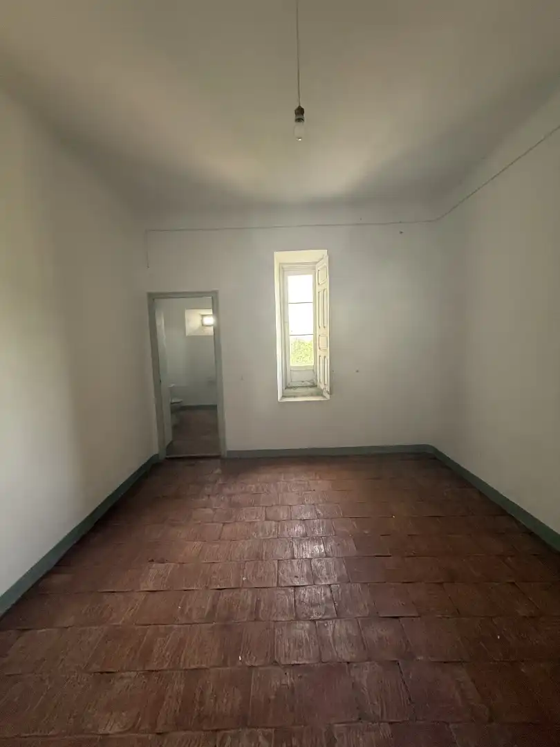 Terreno rustico in vendita a Calle Diseminado, imagen 12