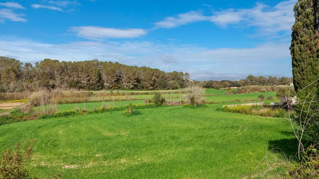 Rural land for sale in Muro, imagen 2