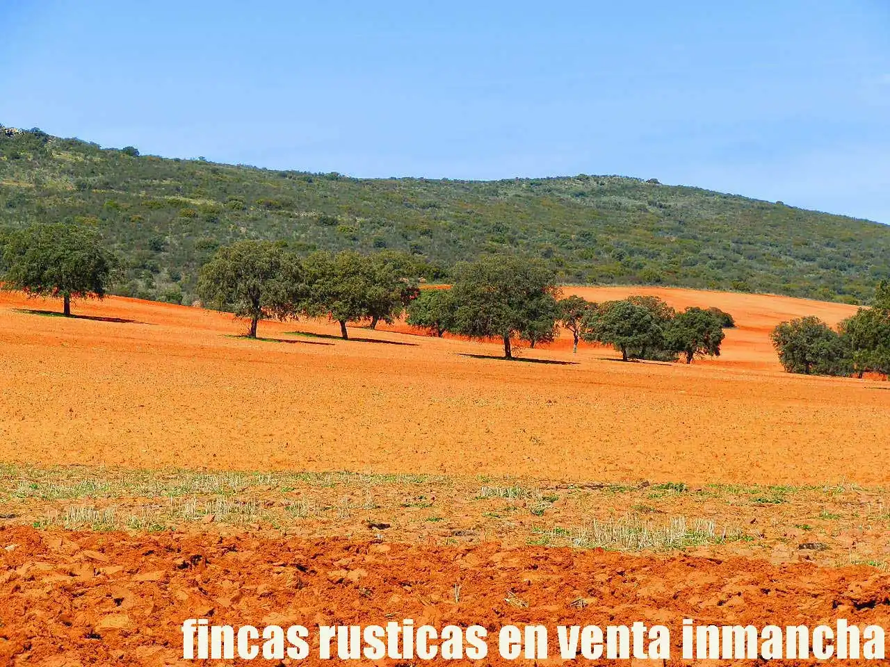 Terreno rustico in vendita a Aldea del Rey, imagen 14
