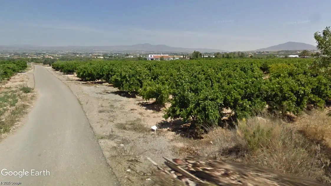 Terreno rústico en venta en Huércal-Overa, imagen 2