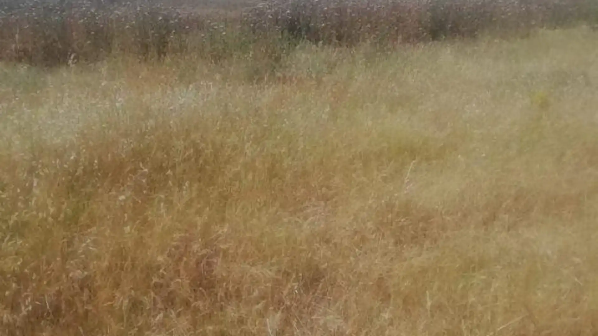 Residential for sale in La Zarza (Badajoz)