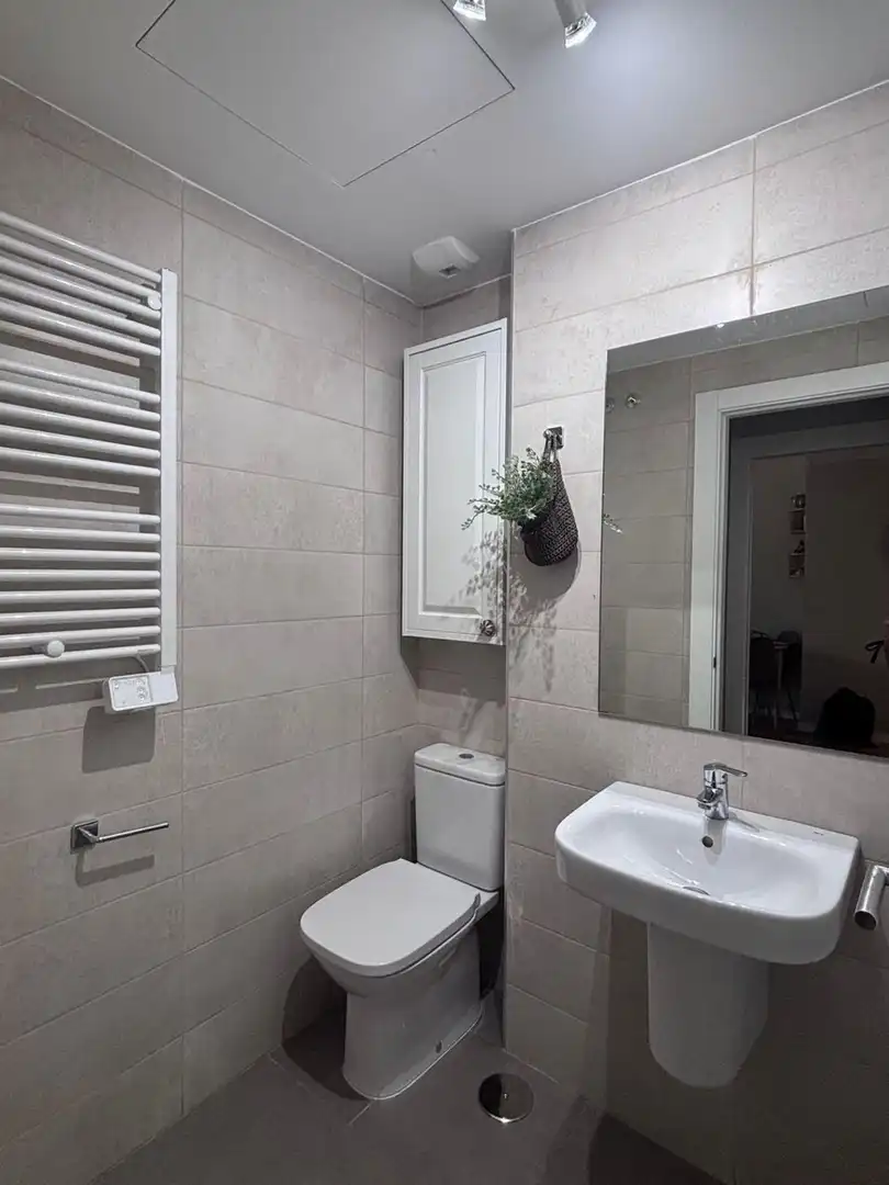 Vivienda con piscina en venta en Las Lagunas, imagen 13