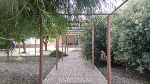 Foto 3 de Casa o xalet en venda a La Algoda - Matola - Llano de San José, Elche / Elx