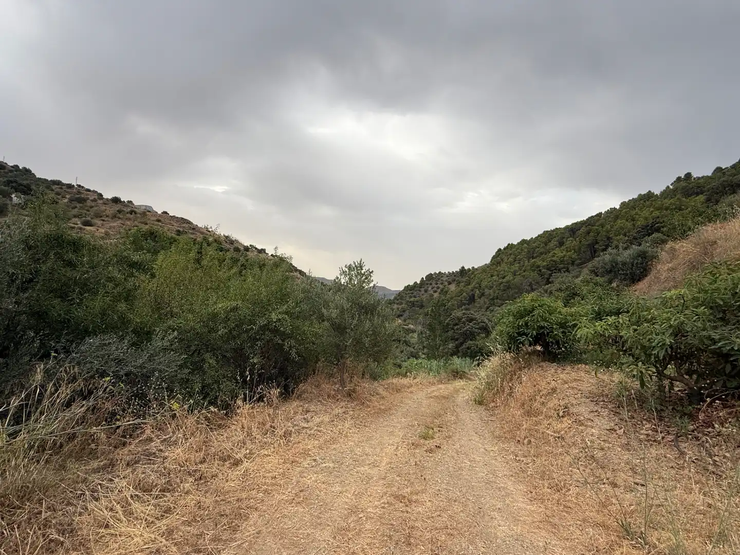 Terreni e lotti in vendita a Camino Río Seco 9, imagen 8