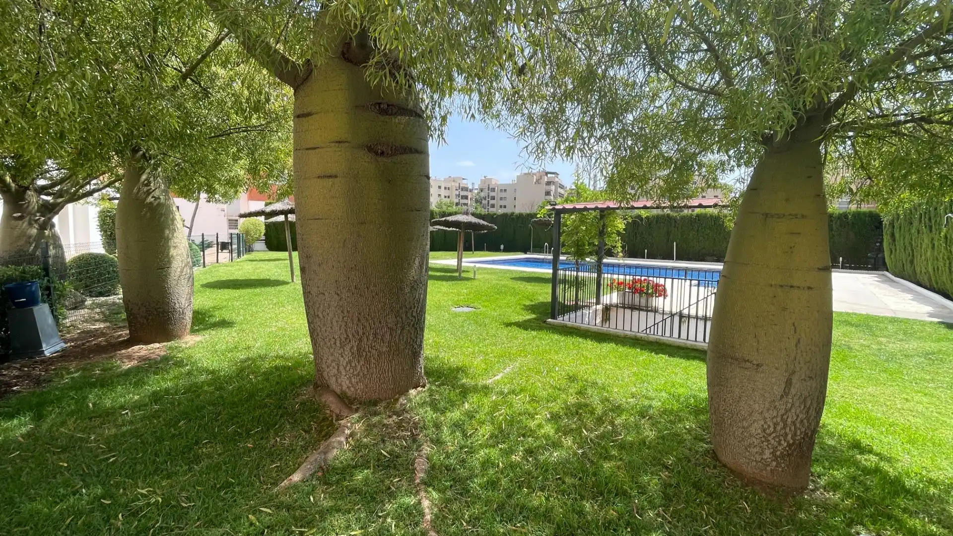 Garten von Wohnung zur Miete in Córdoba mit Klimaanlage, Heizung und Gemeinschaftspool