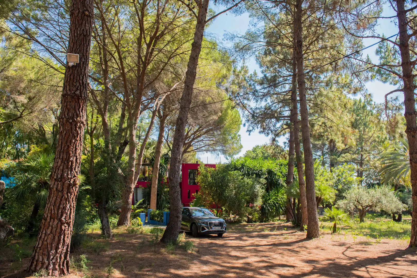 Jardín de Finca rústica en venta en Sagra con Aire acondicionado, Terraza y Piscina