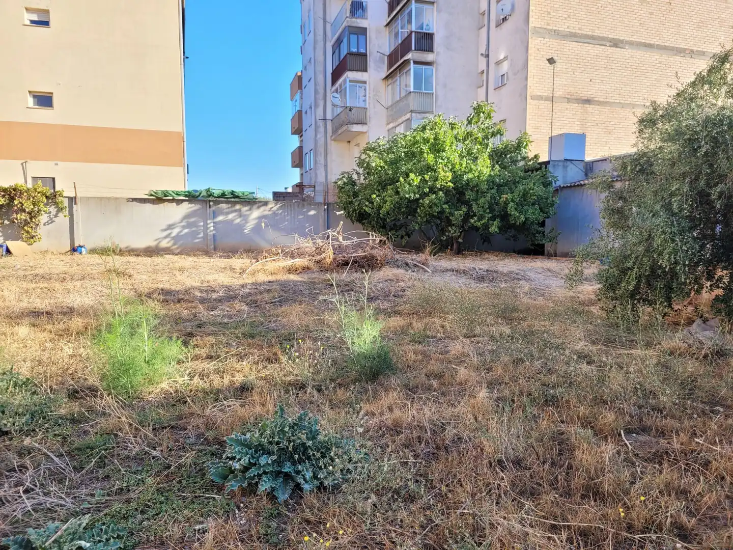 Terreny residencial en venda a la Mallola, imagen 7