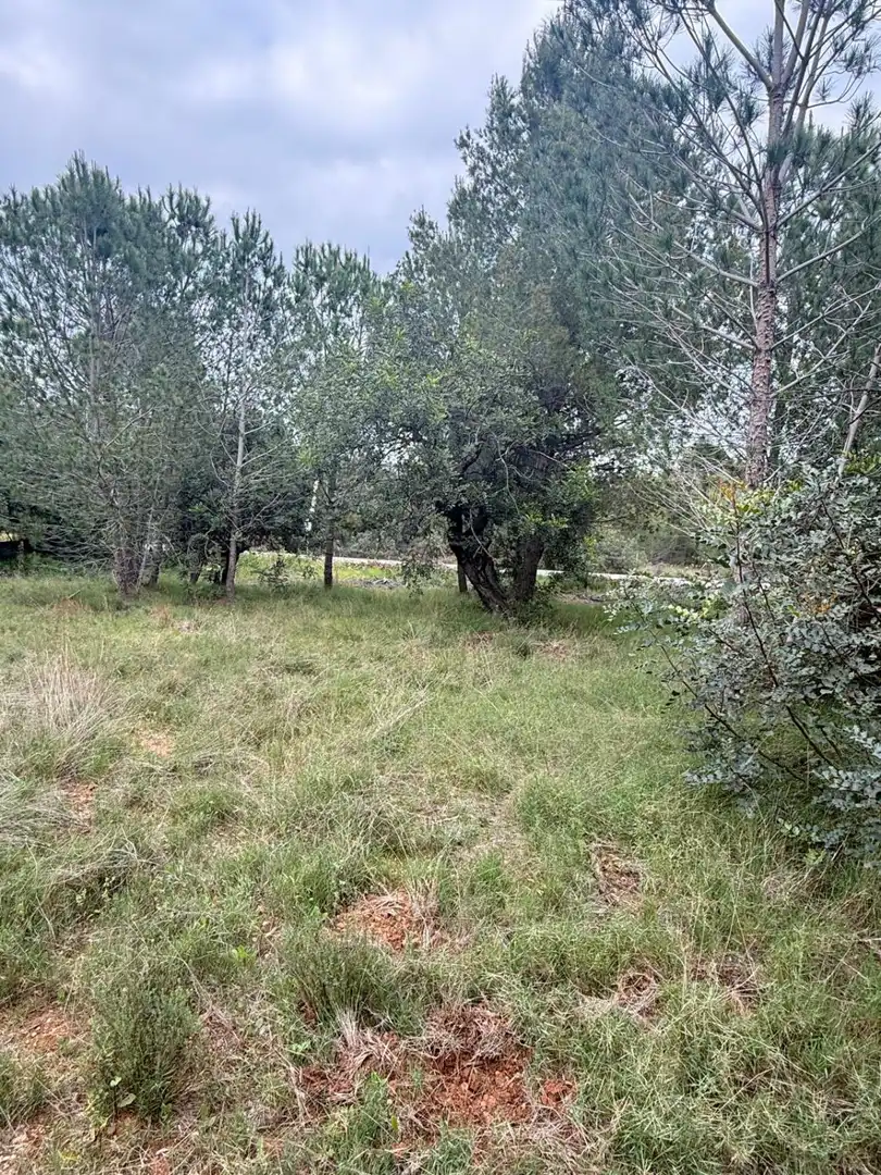 Casa rústica en venta en Onda, imagen 6