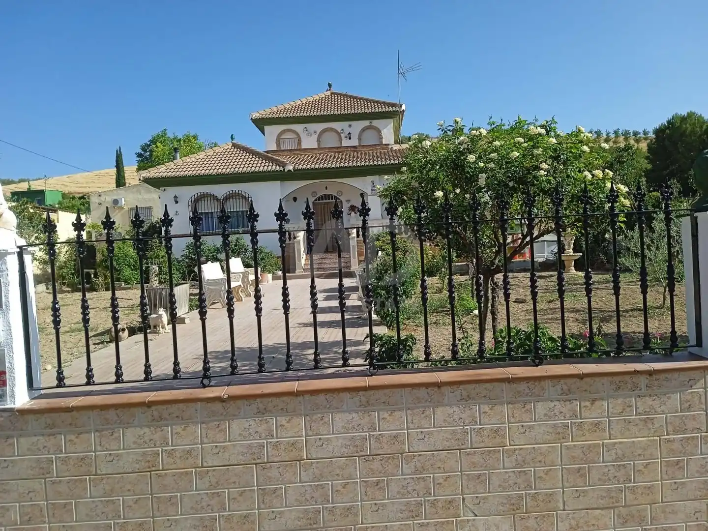 Vista exterior de Finca rústica en venta en Montejícar