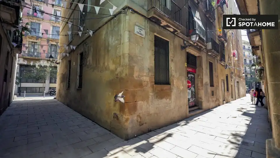 Room in Barcelona, Barcelona