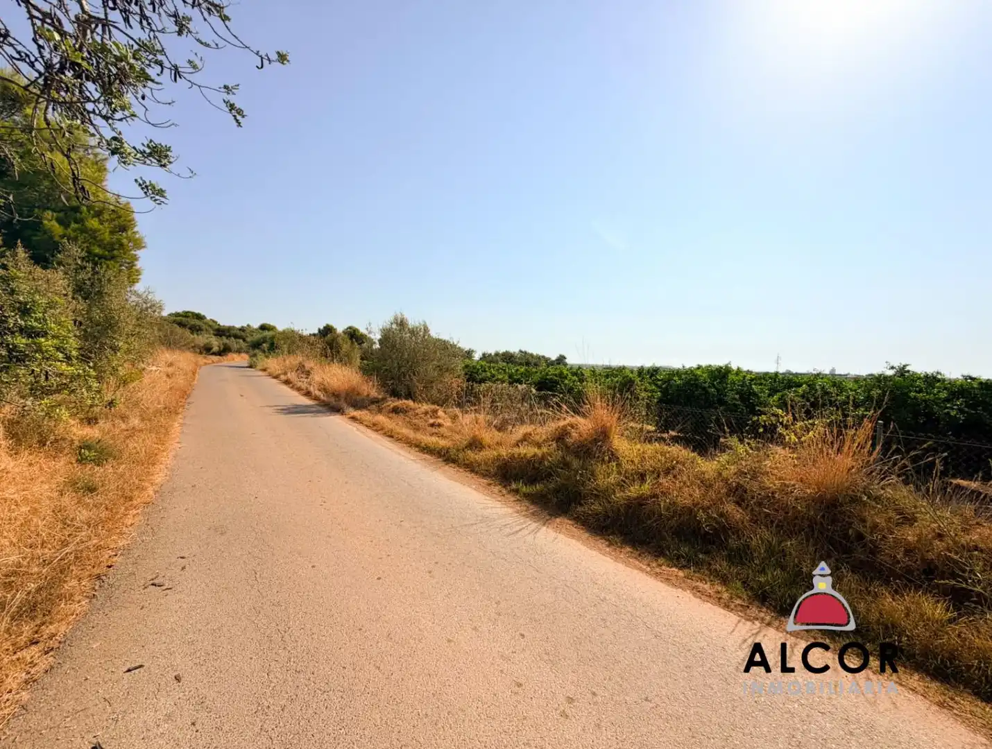 Finca rústica en venta en Peñíscola / Peníscola
