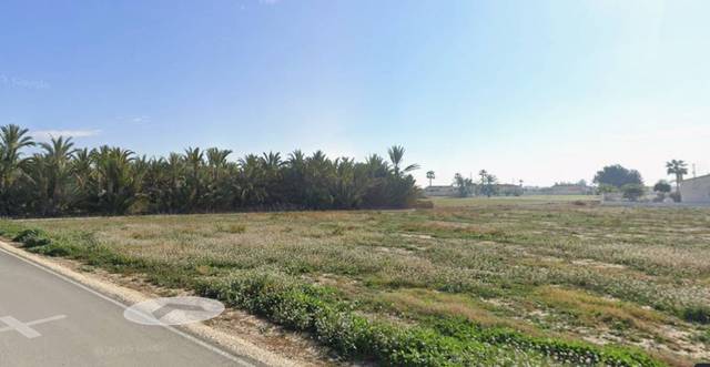 Terreno residencial en Venta en Cam. lo Chicharra en Catral