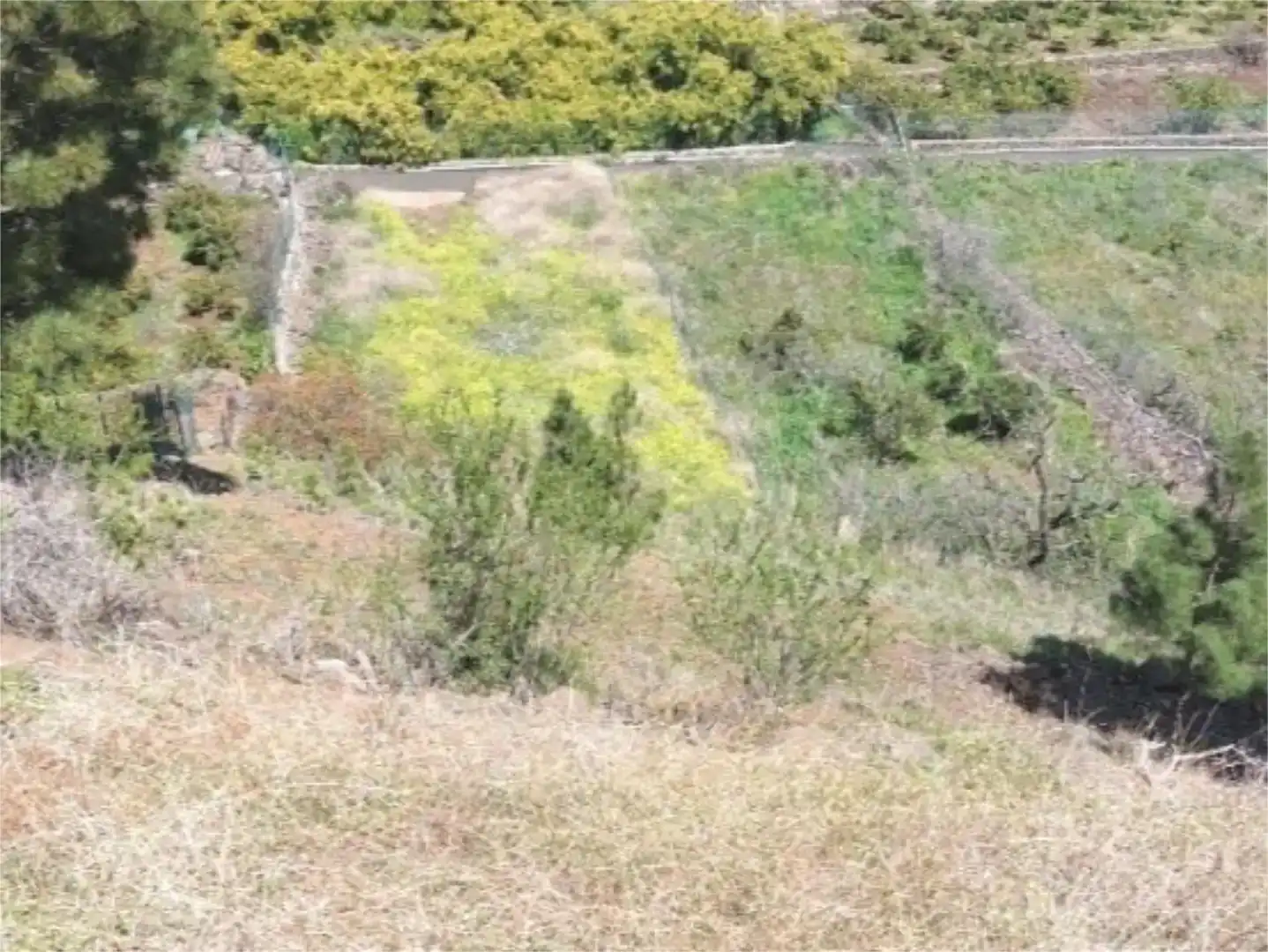 Casa o chalet en venta en El Paso con Aire acondicionado