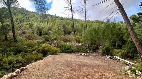 Photo 3 of Land for sale in Camino Polígono 15 Parcela 203 Sa Trongera. Andrat, 15, Port d'Andratx, Illes Balears