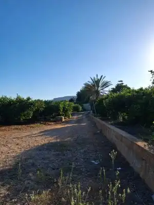 Terrain rustique à vendre à Terrenos MARXUQUERA  ALTA, imagen 2