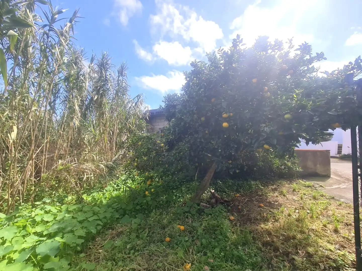 Casa o chalet en venta en Tacoronte con Jardín privado y Terraza