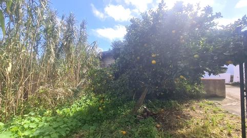 Foto 3 de Casa o chalet en venta en Calle Carril Alto, 62, Campo de Golf - Agua García - Juan Fernández, Tacoronte