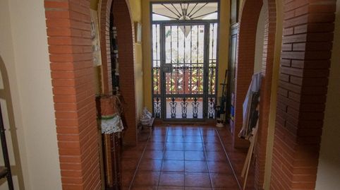 RuteCasa, image 4